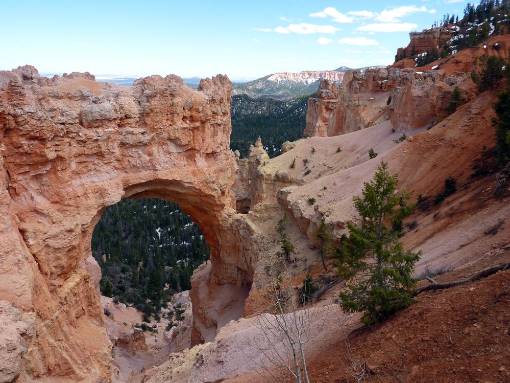 bryce canyon (165).JPG